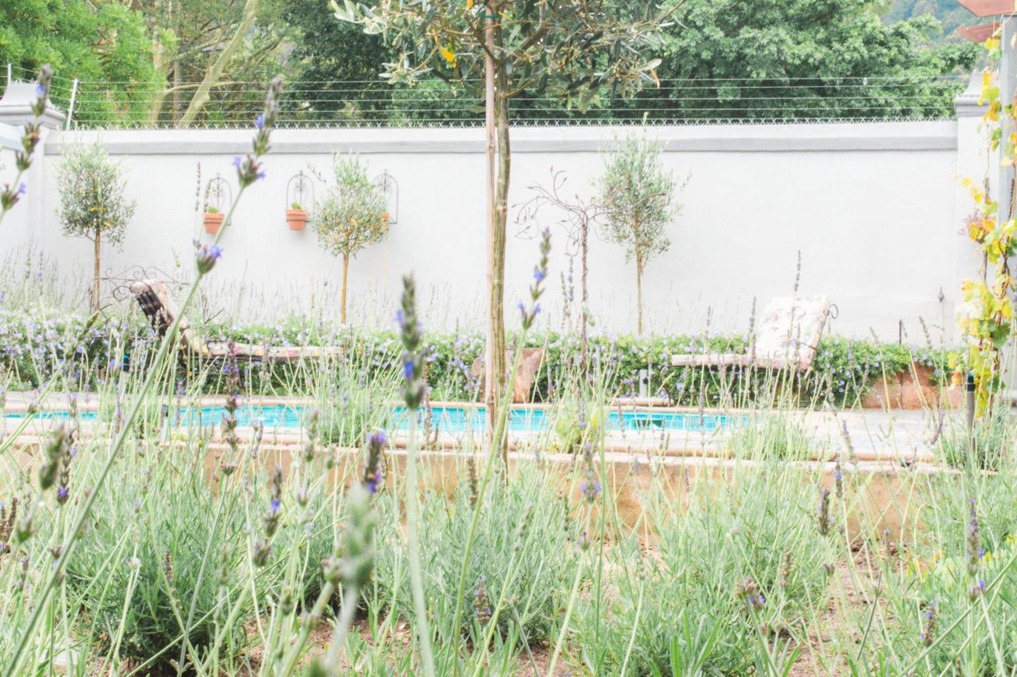 Olive Tree Lodge Paarl Zewnętrze zdjęcie