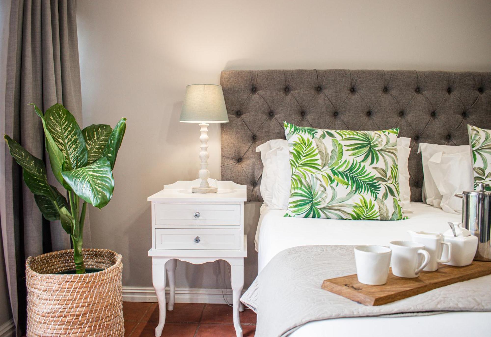 Olive Tree Lodge Paarl Zewnętrze zdjęcie
