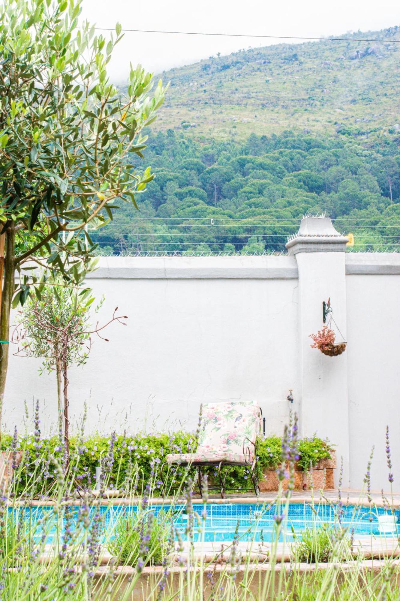 Olive Tree Lodge Paarl Zewnętrze zdjęcie
